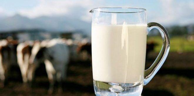 organik süt ürünleri