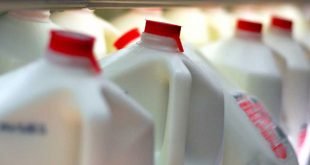 Sıcaklığın süt üzerindeki etkisi